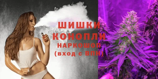 бошки Горняк