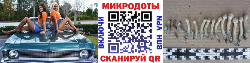 Псилоцибиновые грибы Psilocybine cubensis Купить закладки Тара