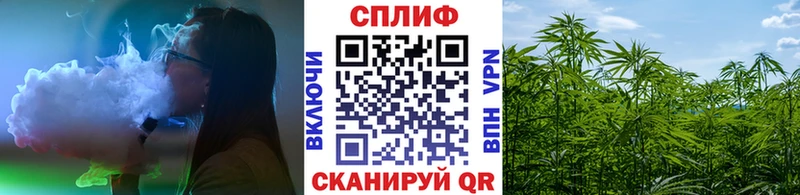 Купить закладки Тара Марихуана Amnesia